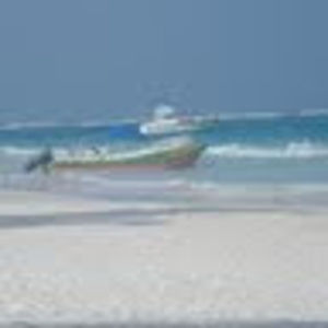 Meet your Posher, Ben